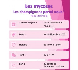 Le 14 décembre 2022 - Les Mycoses - Pecq (Tournai)