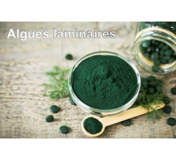 Exfoliant aux Algues - 250 ml - N°15