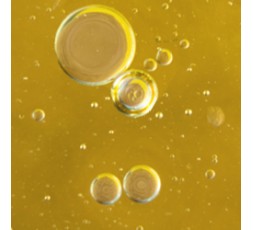 Sothys - Elixir nourrissant corps - Evasion Santal et jasmin – 100 ml