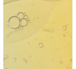 Sothys - Elixir nourrissant corps - Evasion Santal et jasmin – 100 ml