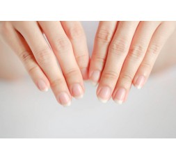 Pince à ongles pour particuliers en Inox - 12 cm